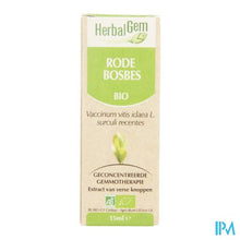 Charger l'image dans la galerie, Herbalgem Rode Bosbes Maceraat 15ml
