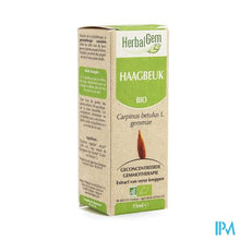 Afbeelding in Gallery-weergave laden, Herbalgem Haagbeuk Maceraat 15ml
