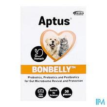 Charger l'image dans la galerie, Aptus Bonbelly Tabl 30
