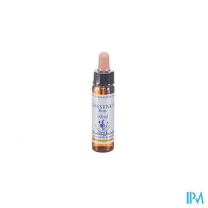 Healing Herbs Chestnut Bud 10ml