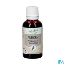 Charger l'image dans la galerie, Herbalgem Artigem Bio 30ml
