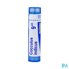 Charger l'image dans la galerie, Cocculus Indicus 9ch Gr 4g Boiron

