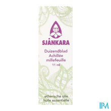 Charger l'image dans la galerie, Sjankara Duizendblad Ess. Olie 11ml
