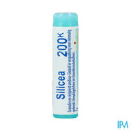 Silicea 200k Gl Boiron