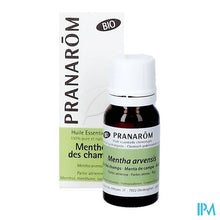 Load image into Gallery viewer, Pranarom Eo Akkermunt Bio 10ml
