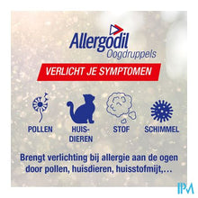Afbeelding in Gallery-weergave laden, Allergodil Collyre Fl 6ml
