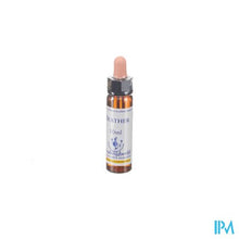 Afbeelding in Gallery-weergave laden, Healing Herbs Heather 10ml
