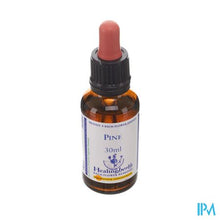 Afbeelding in Gallery-weergave laden, Healing Herbs Pine 30ml
