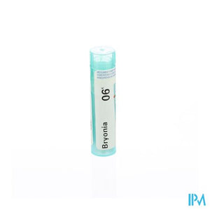 Bryonia 6k Gr 4g Boiron