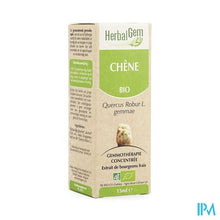 Afbeelding in Gallery-weergave laden, Herbalgem Eik Maceraat 15ml
