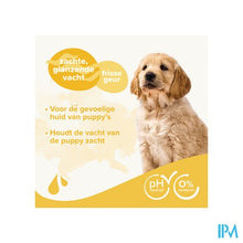Load image into Gallery viewer, Beaphar Shampoo Puppy 250ml
