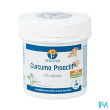 Bild in Galerie-Viewer laden, Curcuma Proactif Caps 90
