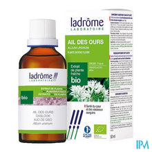 Afbeelding in Gallery-weergave laden, Ladrome Allium Ursinum/daslook 50ml
