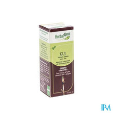 Charger l'image dans la galerie, Herbalgem Maretak Maceraat 15ml
