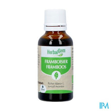 Load image into Gallery viewer, Herbalgem Frambozenstruik Bio 30ml
