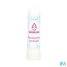 Load image into Gallery viewer, Sjankara Eucalyptus Synergie Inhaler 2g
