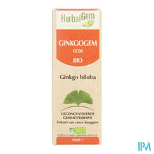 Afbeelding in Gallery-weergave laden, Herbalgem Ginkgogem Complexe Gutt 50ml
