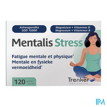 Afbeelding in Gallery-weergave laden, Mentalis Stress Caps 120
