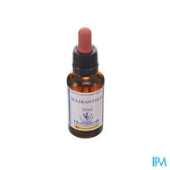Healing Herbs Scleranthus 30ml