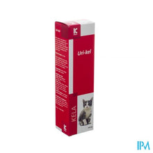 Load image into Gallery viewer, Uri-kel Pasta 100g
