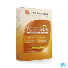 Afbeelding in Gallery-weergave laden, Fortesun Bonne Mine Amp 20
