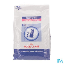 Charger l'image dans la galerie, Vcn Young Female Feline So 3,5kg
