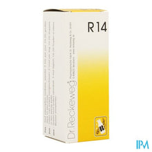 Afbeelding in Gallery-weergave laden, Reckeweg Dr. R14 Gutt 50ml
