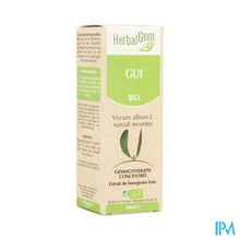 Afbeelding in Gallery-weergave laden, Herbalgem Maretak Maceraat 50ml
