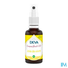 Load image into Gallery viewer, Deva Levensvreugde 30ml
