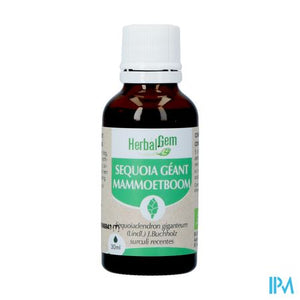 Herbalgem Mammoetboom Bio 30ml