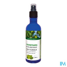 Afbeelding in Gallery-weergave laden, Altho Eau Florale Ravintsara Bio 200ml
