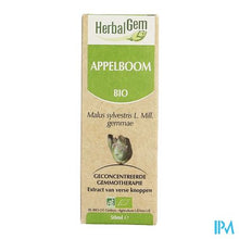 Afbeelding in Gallery-weergave laden, Herbalgem Appelboom Maceraat 50ml

