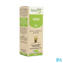Afbeelding in Gallery-weergave laden, Herbalgem Olm Maceraat 50ml
