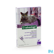 Load image into Gallery viewer, Advantage 80 Katten >4kg 4x0,8ml
