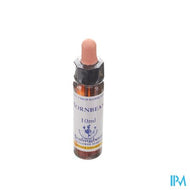 Healing Herbs Hornbeam 10ml