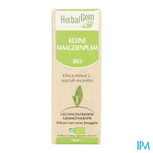 Afbeelding in Gallery-weergave laden, Herbalgem Maagdenpalm Maceraat 50ml
