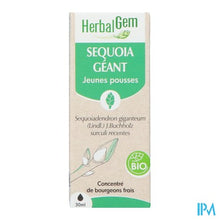Afbeelding in Gallery-weergave laden, Herbalgem Mammoetboom Bio 30ml
