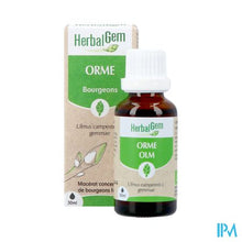 Afbeelding in Gallery-weergave laden, Herbalgem Olm Bio 30ml
