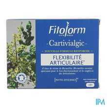 Charger l'image dans la galerie, Cartivial+ Gewrichtscomfort Comp 40 Fitoform
