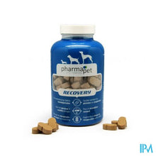 Charger l'image dans la galerie, Pharma Pet Musclemax 235g

