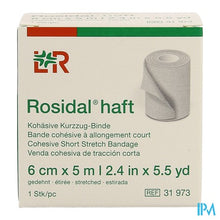 Afbeelding in Gallery-weergave laden, Rosidal Haft Cohesieve Windel 6cmx5m 1 31973
