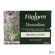 Charger l'image dans la galerie, Desmodium Amp 20
