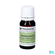 Load image into Gallery viewer, Pranarom Eo Akkermunt Bio 10ml
