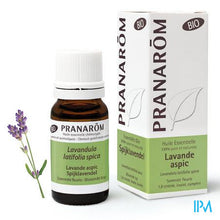 Load image into Gallery viewer, Spijk Lavendel Bio Ess Olie 10ml Pranarom
