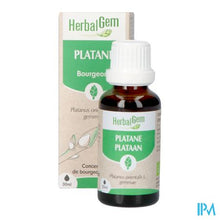 Charger l'image dans la galerie, Herbalgem Plataan Bio 30ml
