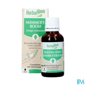 Herbalgem Mammoetboom Bio 30ml