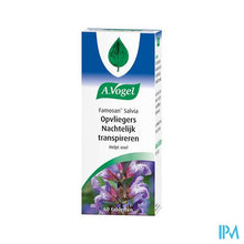 Afbeelding in Gallery-weergave laden, Vogel Famosan Salvia Pot Tabl 60
