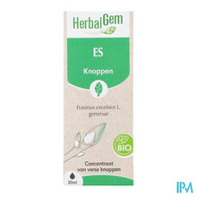 Afbeelding in Gallery-weergave laden, Herbalgem Es Bio 30ml
