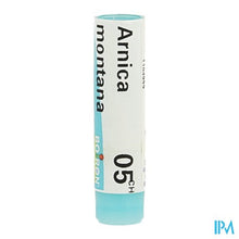 Afbeelding in Gallery-weergave laden, Arnica Montana 5ch Gl Boiron
