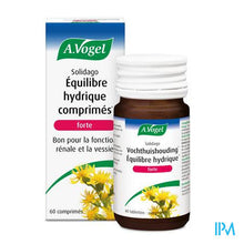 Load image into Gallery viewer, A.Vogel Solidago forte 60 tabletten
